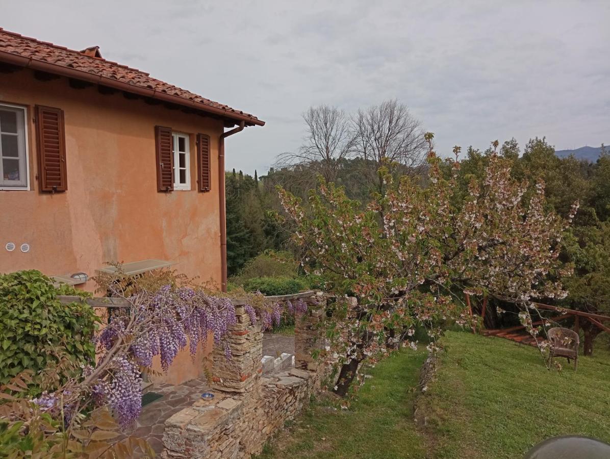 Il Silenzio Apartamento Lucca Exterior foto