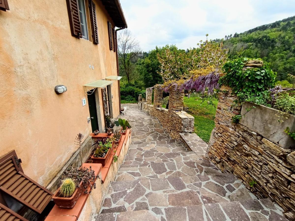 Il Silenzio Apartamento Lucca Exterior foto